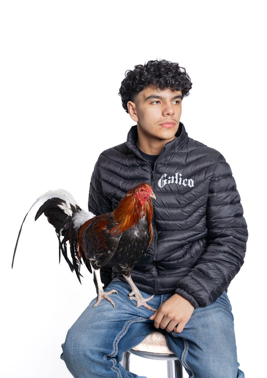 Gallero Puffer